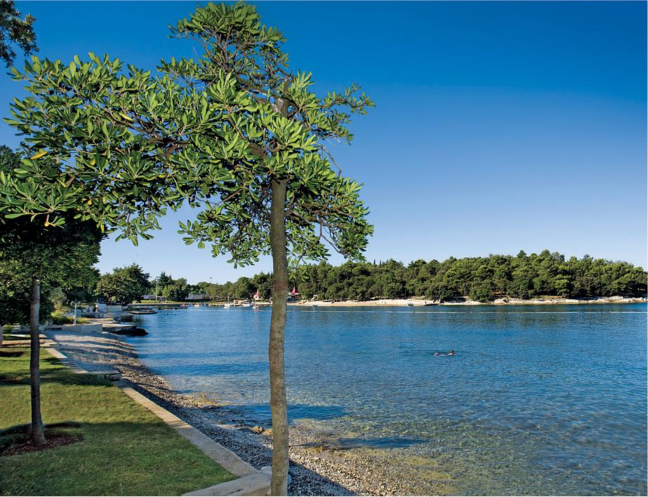 Hotel Zorna Plava Laguna Poreč Dış mekan fotoğraf